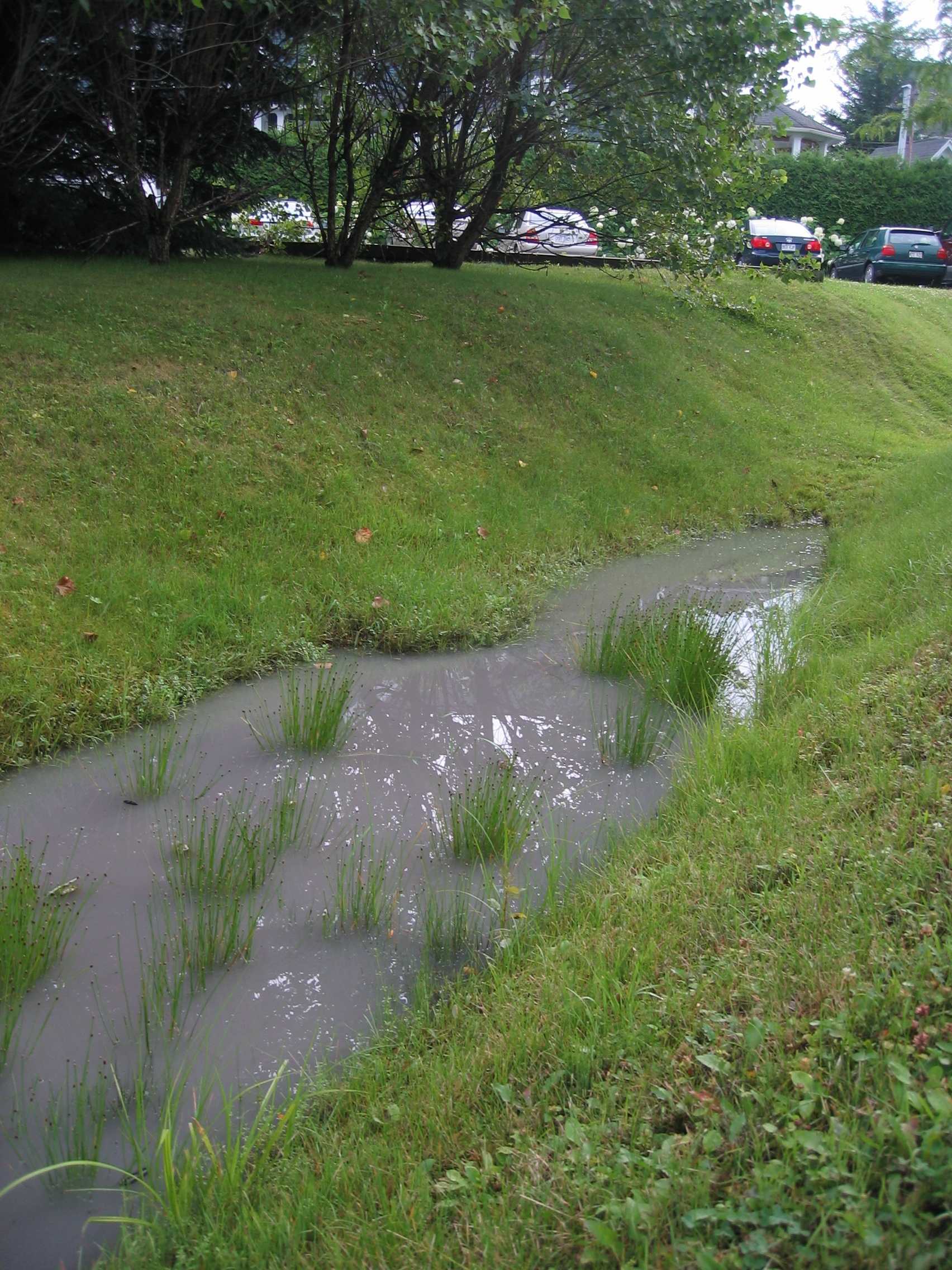 Wallpapers Nature Lakes - Ponds Marcage d'eau trouble