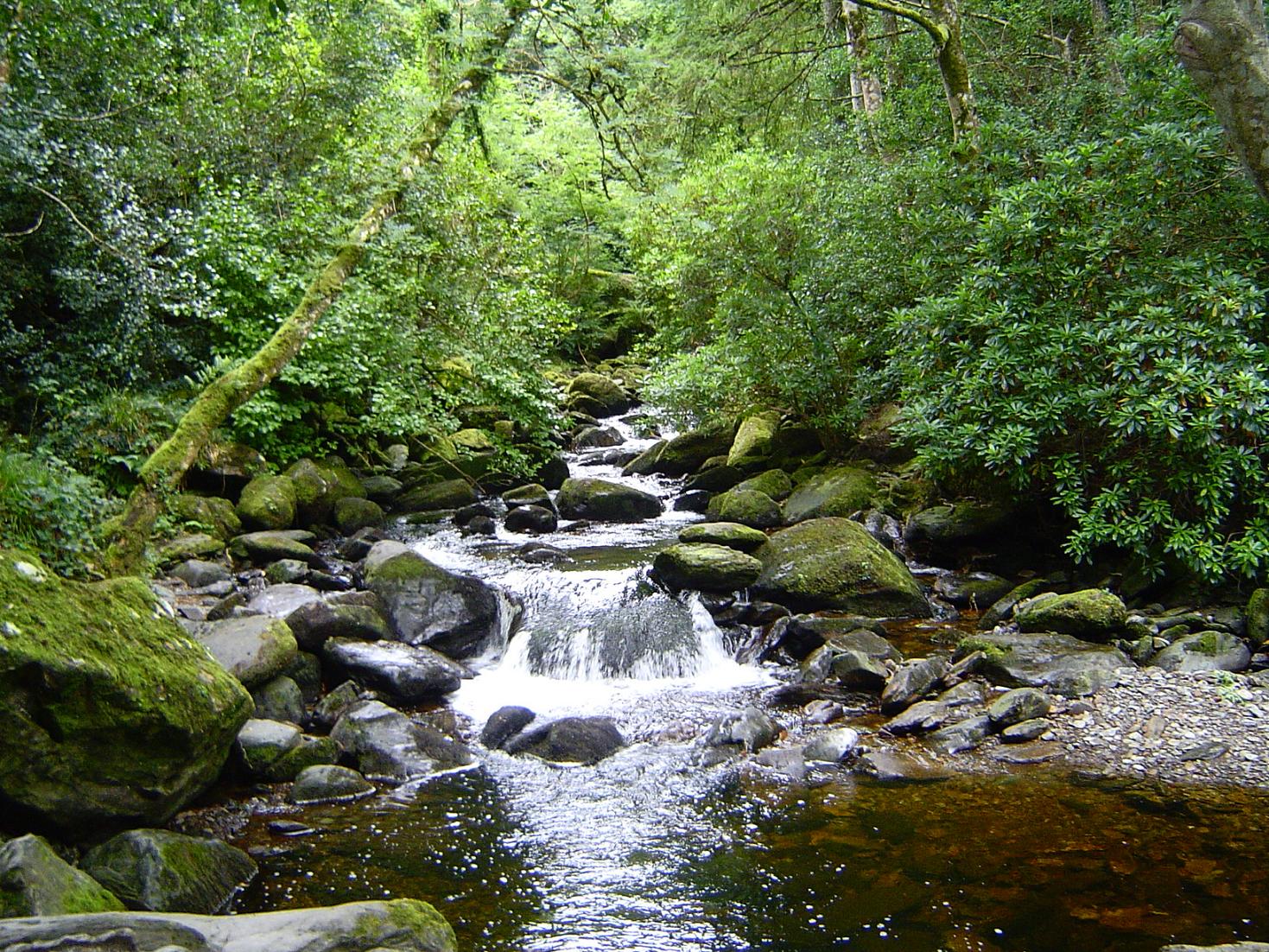 Fonds d'cran Voyages : Europe Irlande Irlande