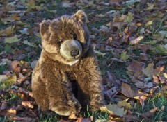 Fonds d'cran Objets Petit Ours Ti' Bear au soleil couchant...