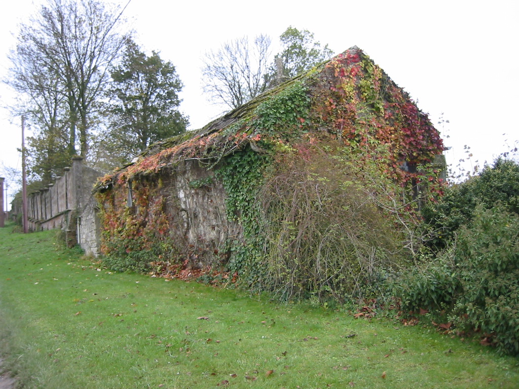 Wallpapers Constructions and architecture Houses Vieille bicoque couverte de vigne vierge.