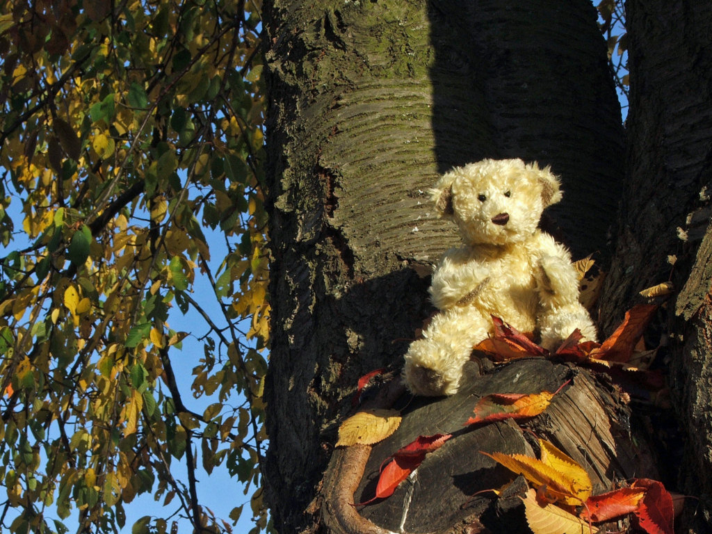 Fonds d'cran Objets Peluches Petit Ours d'automne...