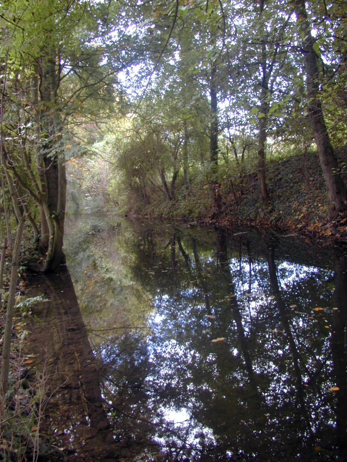 Wallpapers Nature Rivers - Torrents Le Fusain