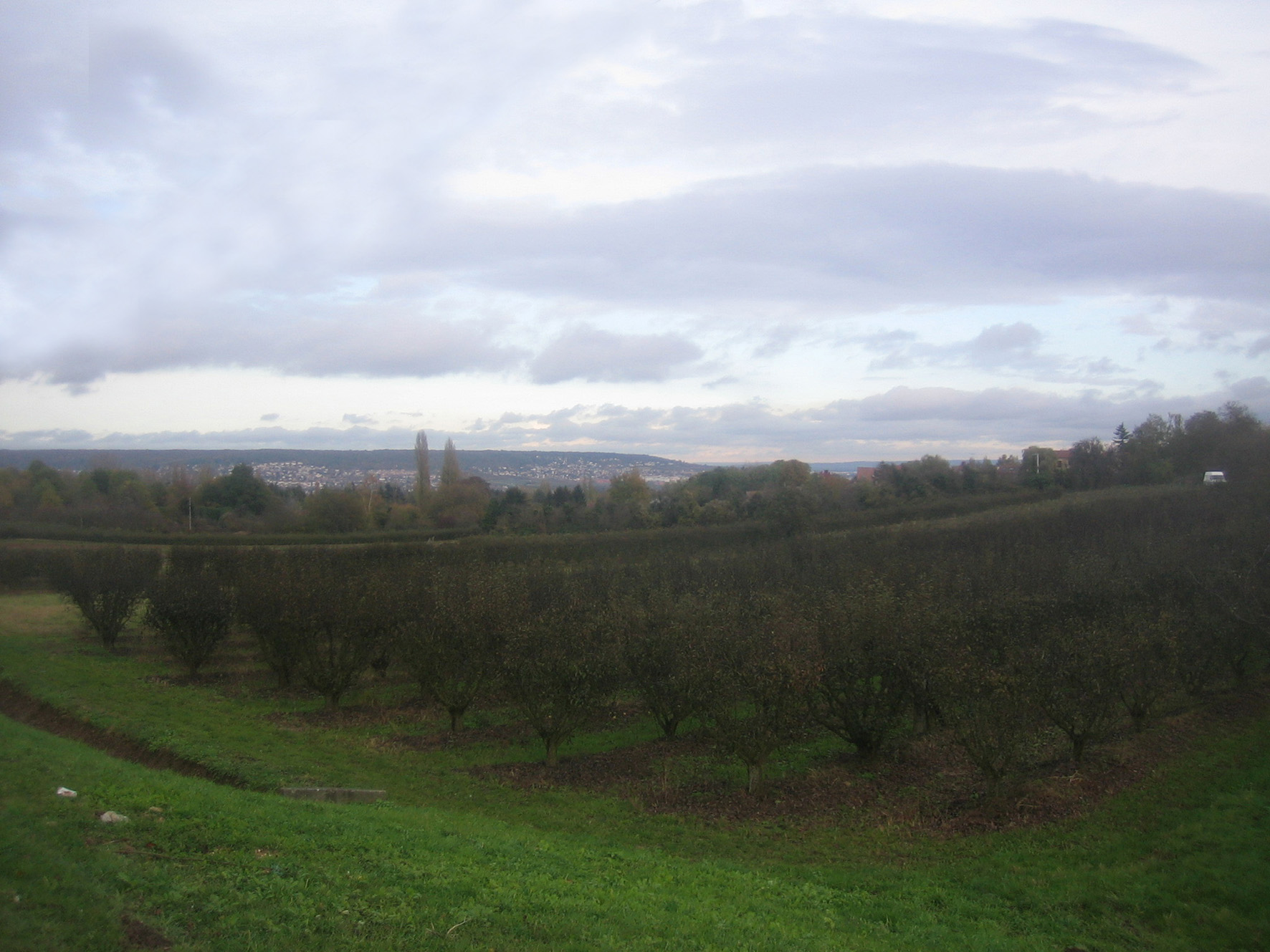 Wallpapers Nature Trees - Forests Vue sur Triel sur seine!!