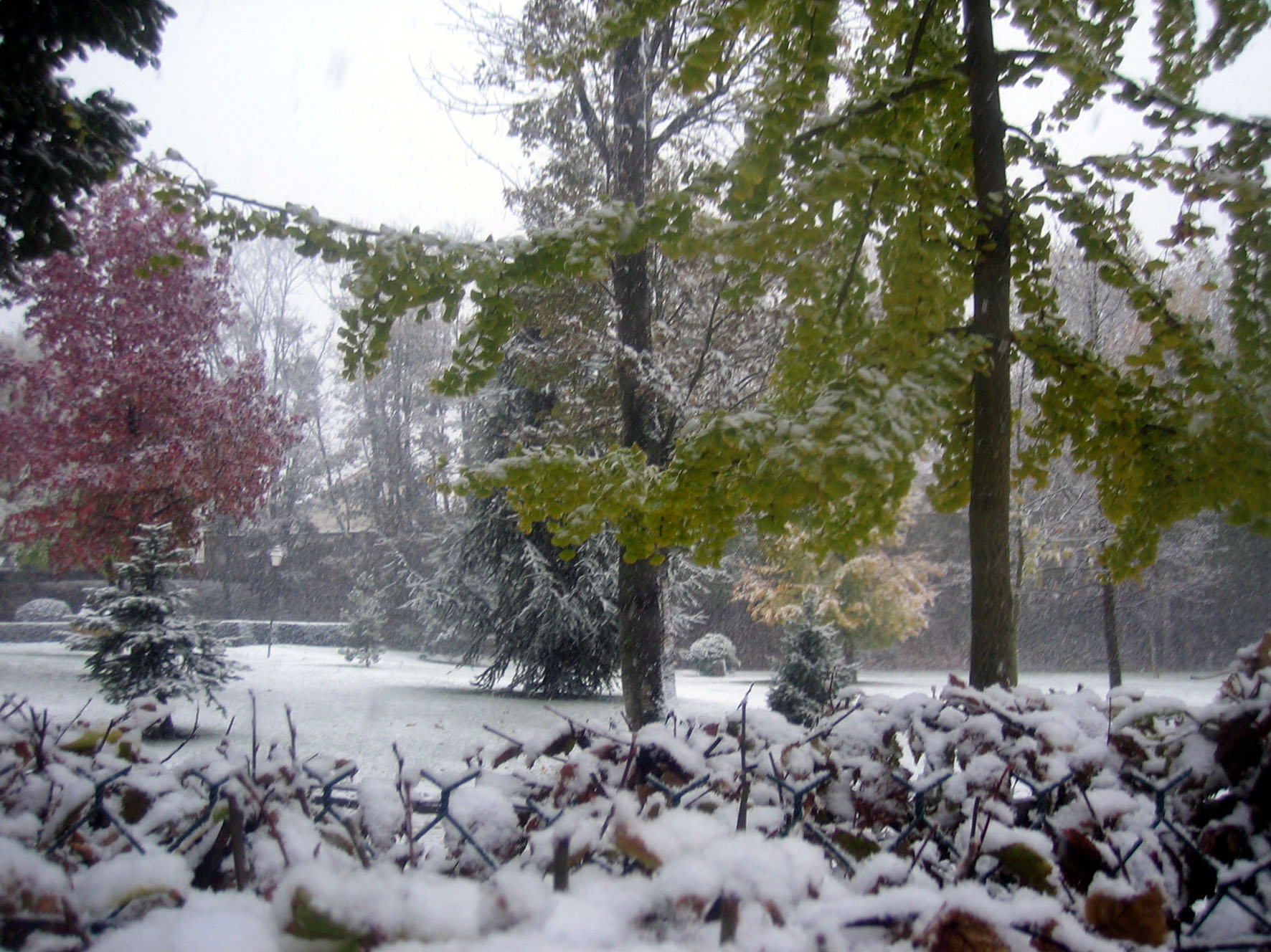 Fonds d'cran Nature Parcs - Jardins Senet sous la neige!!