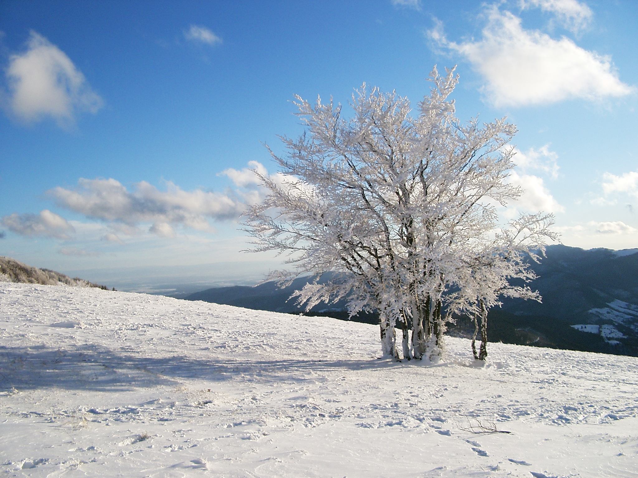 Wallpapers Nature Saisons - Winter Markstein