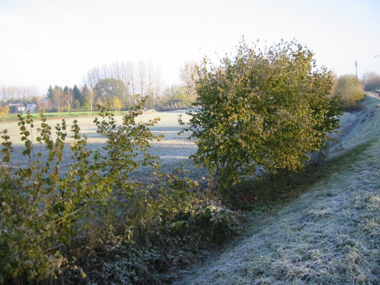 Fonds d'cran Voyages : Europe France > Picardie Campagne givre en Picardie