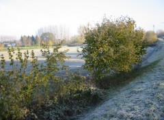 Fonds d'cran Voyages : Europe Campagne givre en Picardie