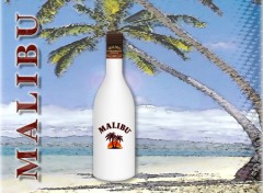 Wallpapers Objects Malibu Coco
