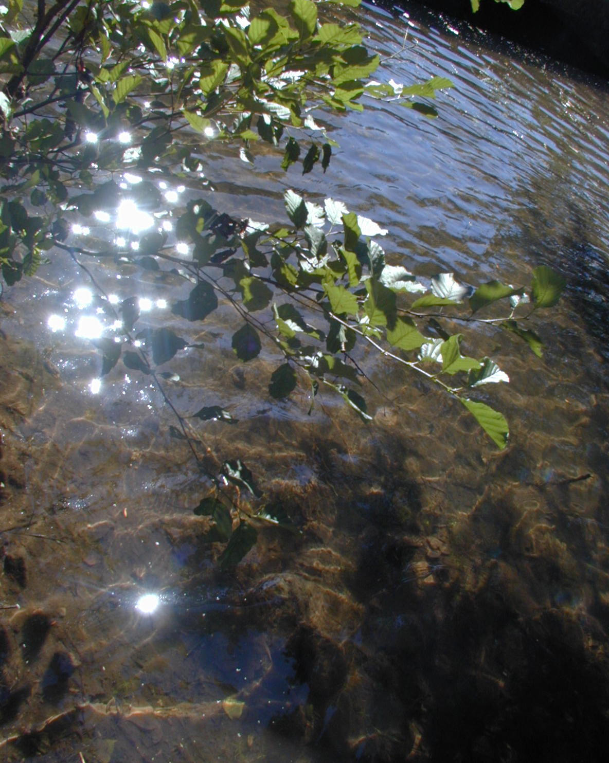 Wallpapers Nature Water - Reflection Reflets