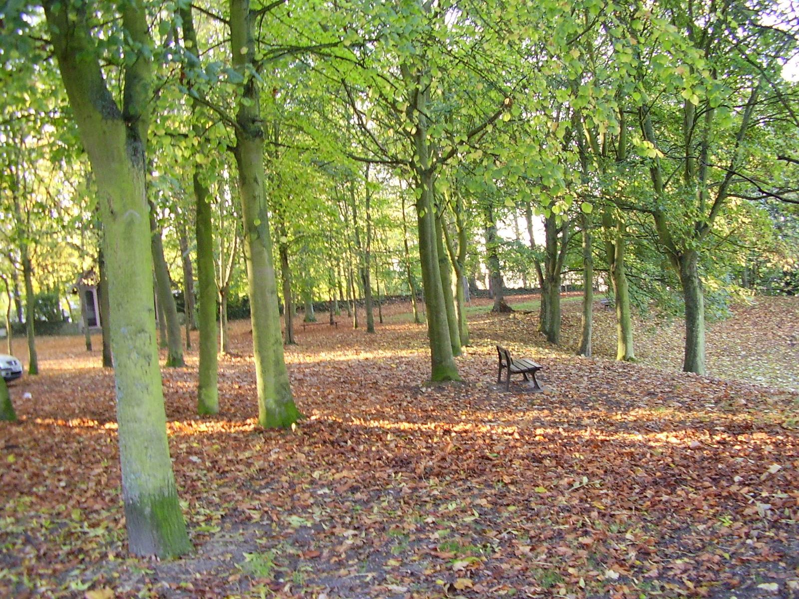 Fonds d'cran Nature Saisons - Automne 