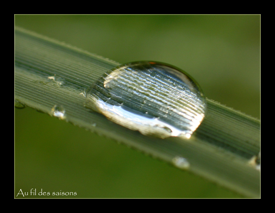 Fonds d'cran Nature Eau Goutte d'eau