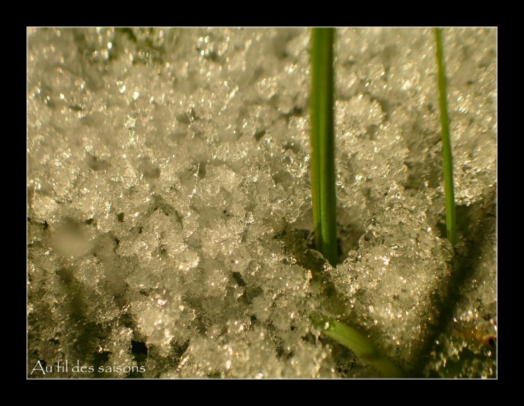 Fonds d'cran Nature Saisons - Hiver La neige est passe...