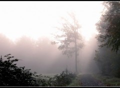 Fonds d'cran Nature Matin brumeux