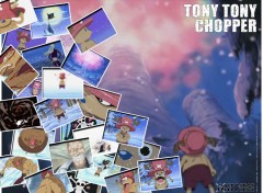 Fonds d'cran Manga Ruthay One Piece Tony Tony Chopper 01