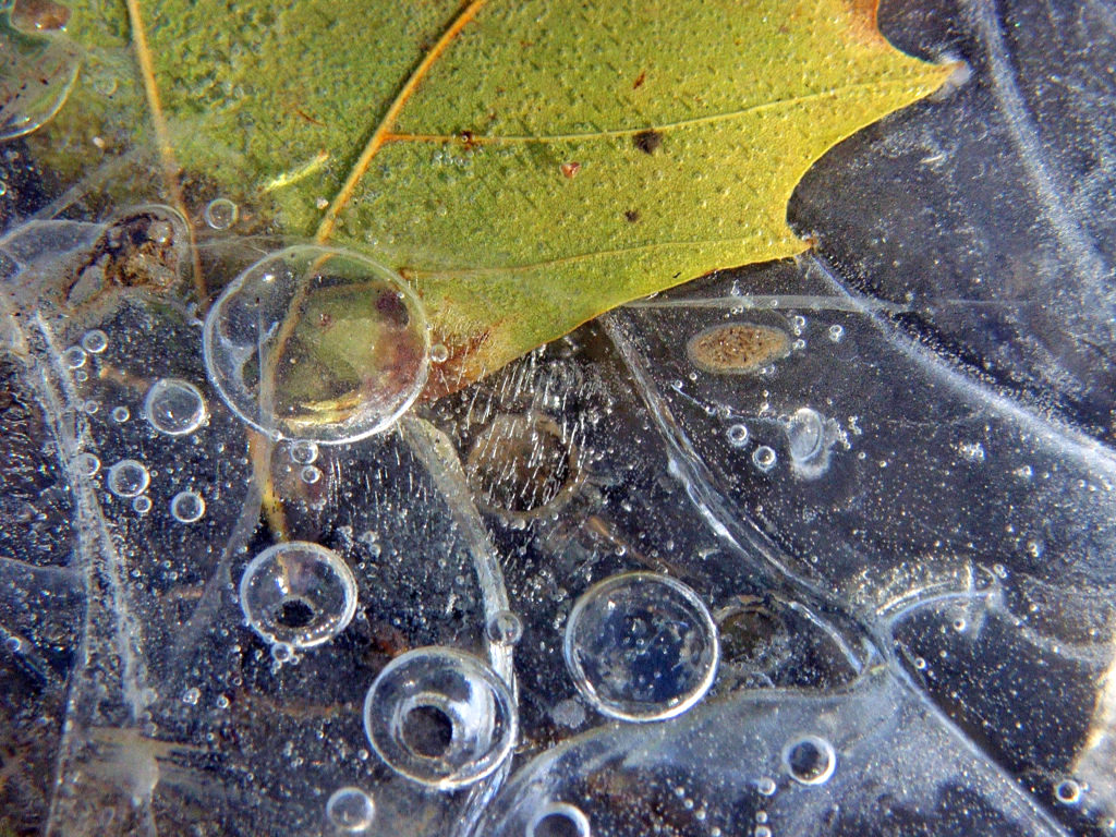 Fonds d'cran Nature Saisons - Hiver Saison du gel