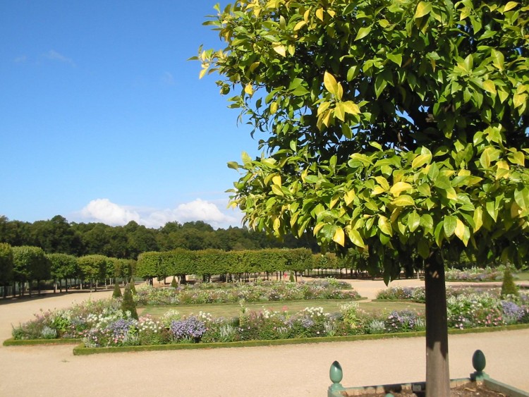 Wallpapers Nature Parks - Gardens Parc du grand trianon