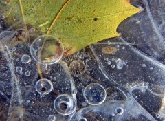 Fonds d'cran Nature Saison du gel