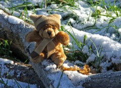 Fonds d'cran Objets Petit Ours d'hiver...