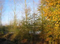 Fonds d'cran Nature Dernires couleurs d'Automne dans l'Aisne