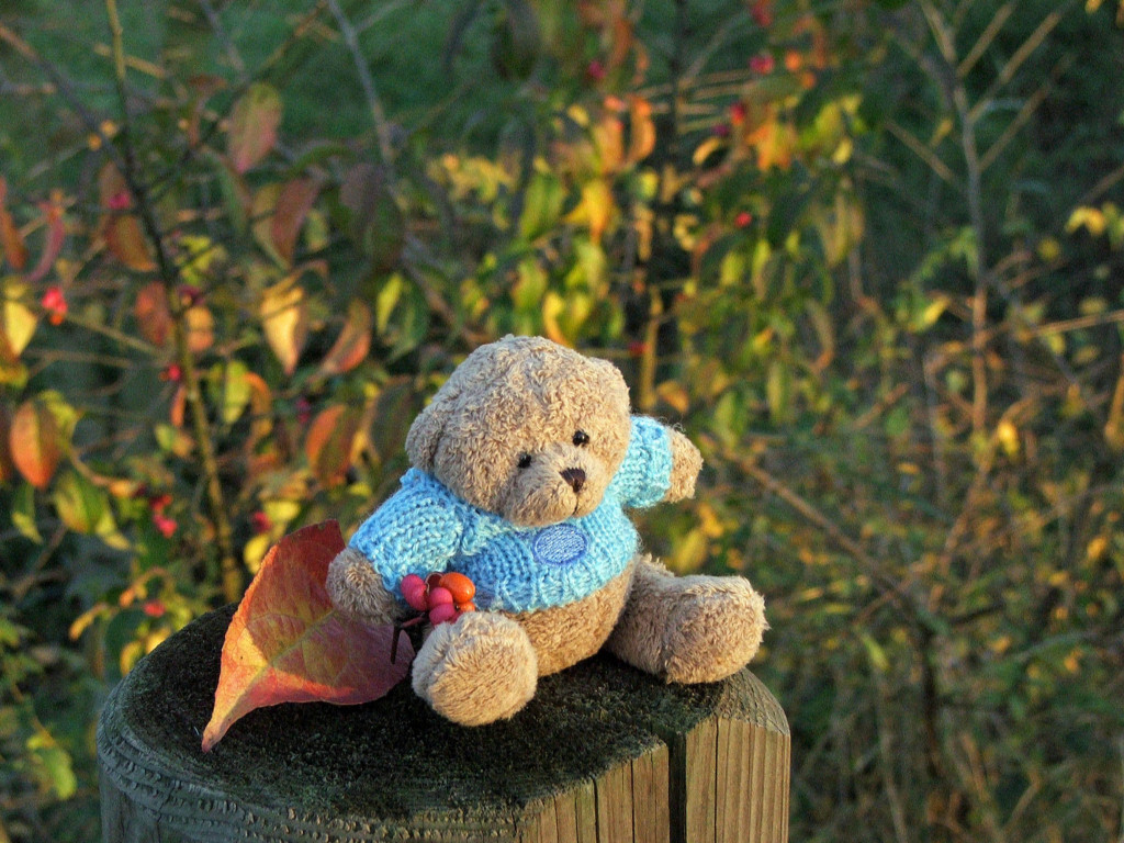 Fonds d'cran Objets Peluches Petit Ours d'automne du Clan Lulu