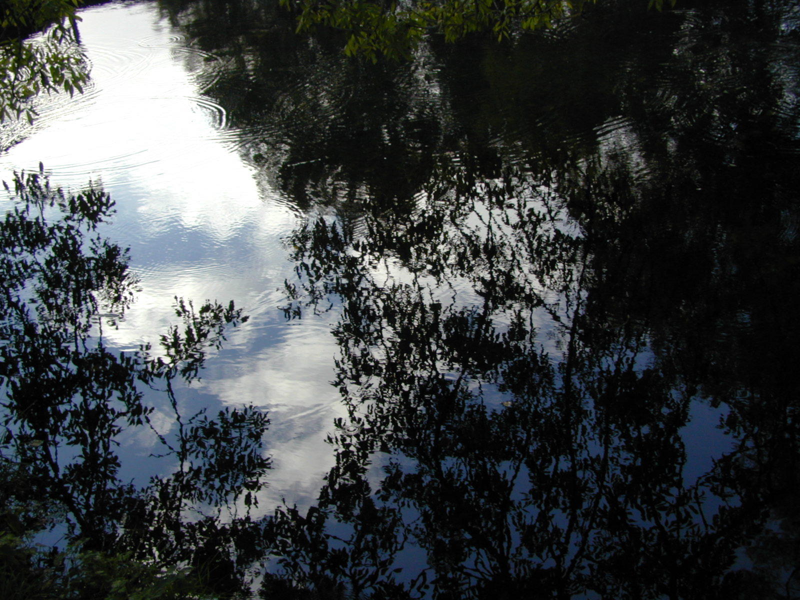 Wallpapers Nature Water - Reflection Reflets