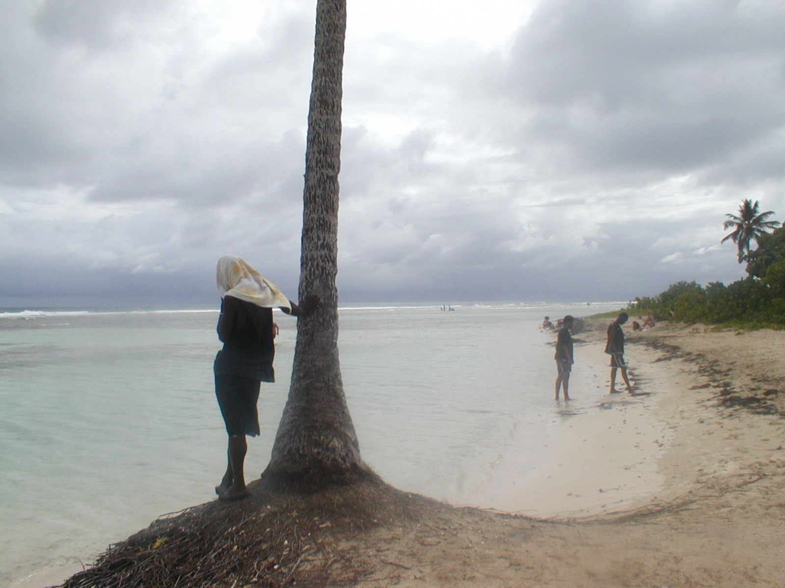 Fonds d'cran Nature Mers - Ocans - Plages ...