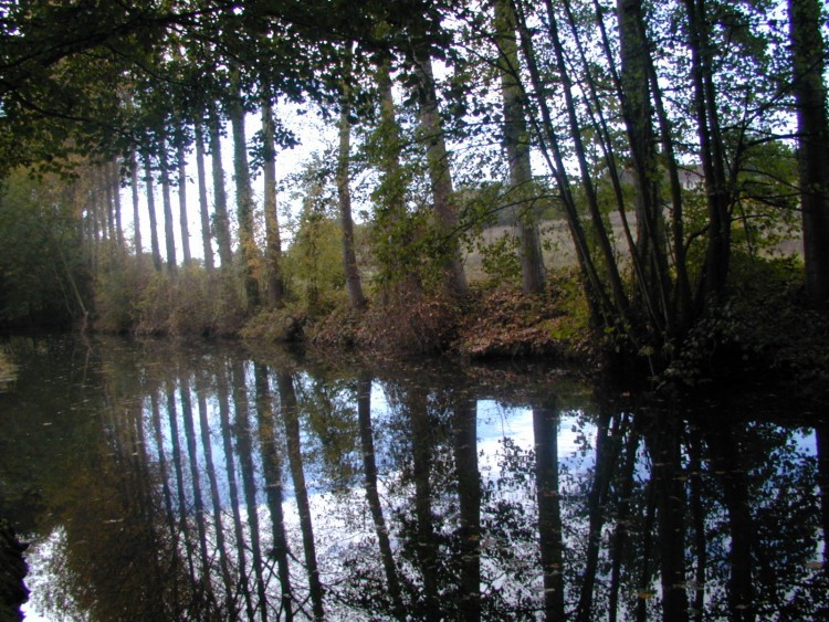 Wallpapers Nature Water - Reflection Reflets