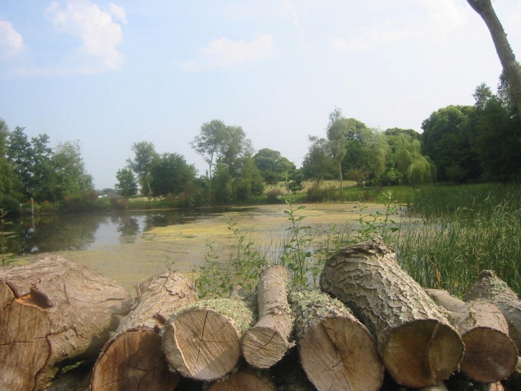 Fonds d'cran Voyages : Europe France > Bretagne Etang marcageux en Bretagne 3