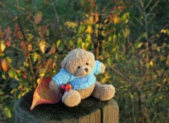 Wallpapers Objects Petit Ours d'automne du Clan Lulu