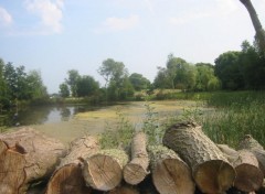 Fonds d'cran Voyages : Europe Etang marcageux en Bretagne 3