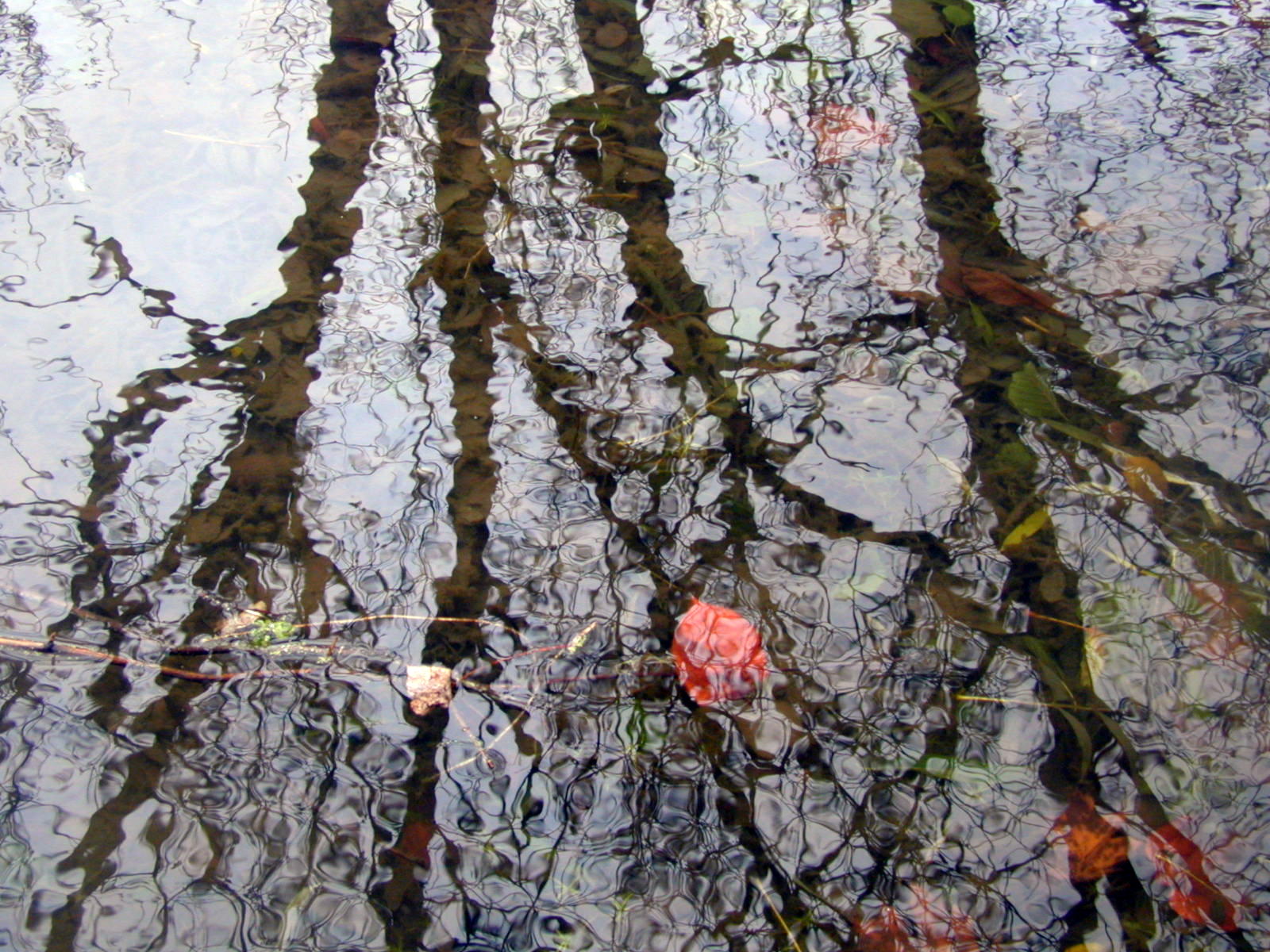 Wallpapers Nature Water - Reflection Reflets