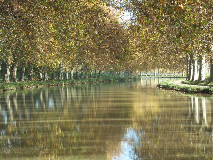 Fonds d'cran Nature Saisons - Automne Canal du Midi