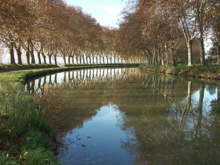 Fonds d'cran Nature Fleuves - Rivires - Torrents Canal du Midi