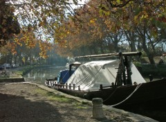 Fonds d'cran Nature Canal du Midi