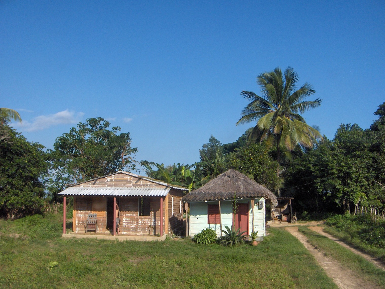 Wallpapers Trips : North America Cuba Pnar del Rio, dans la campagne cubaine