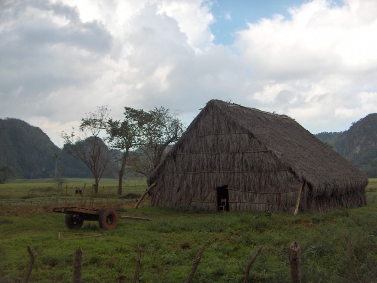 Fonds d'cran Voyages : Amrique du nord Cuba Pinar del Rio, cabane de schage du tabac