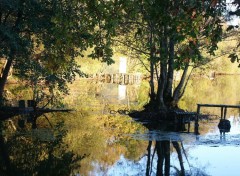 Fonds d'cran Nature Etang de port Brillet