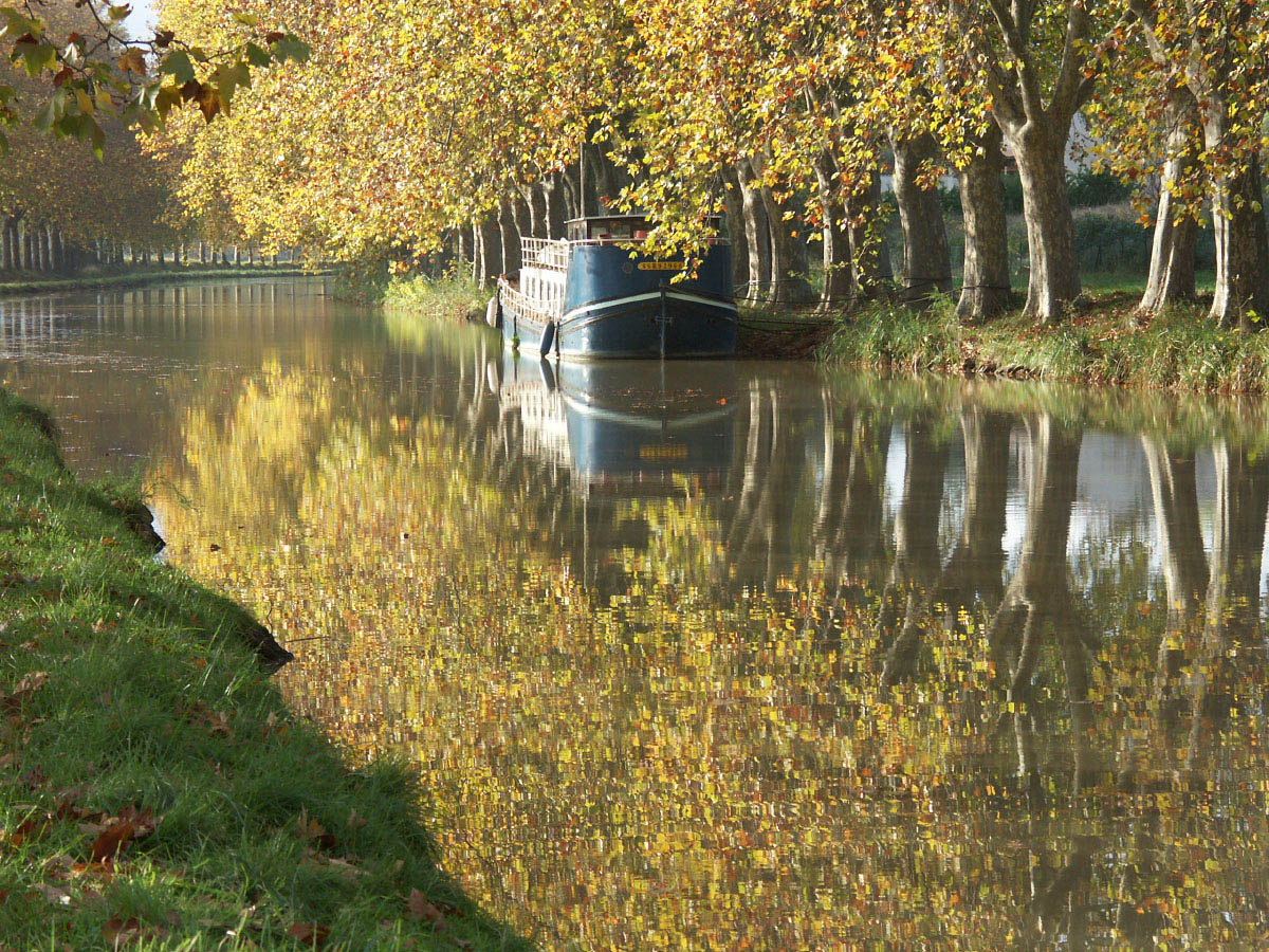 Fonds d'cran Nature Fleuves - Rivires - Torrents Canal du Midi