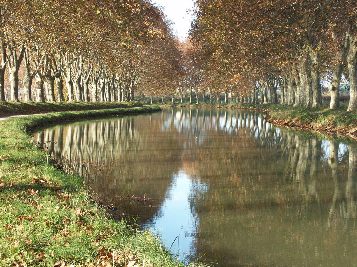 Fonds d'cran Nature Saisons - Automne Canal du Midi