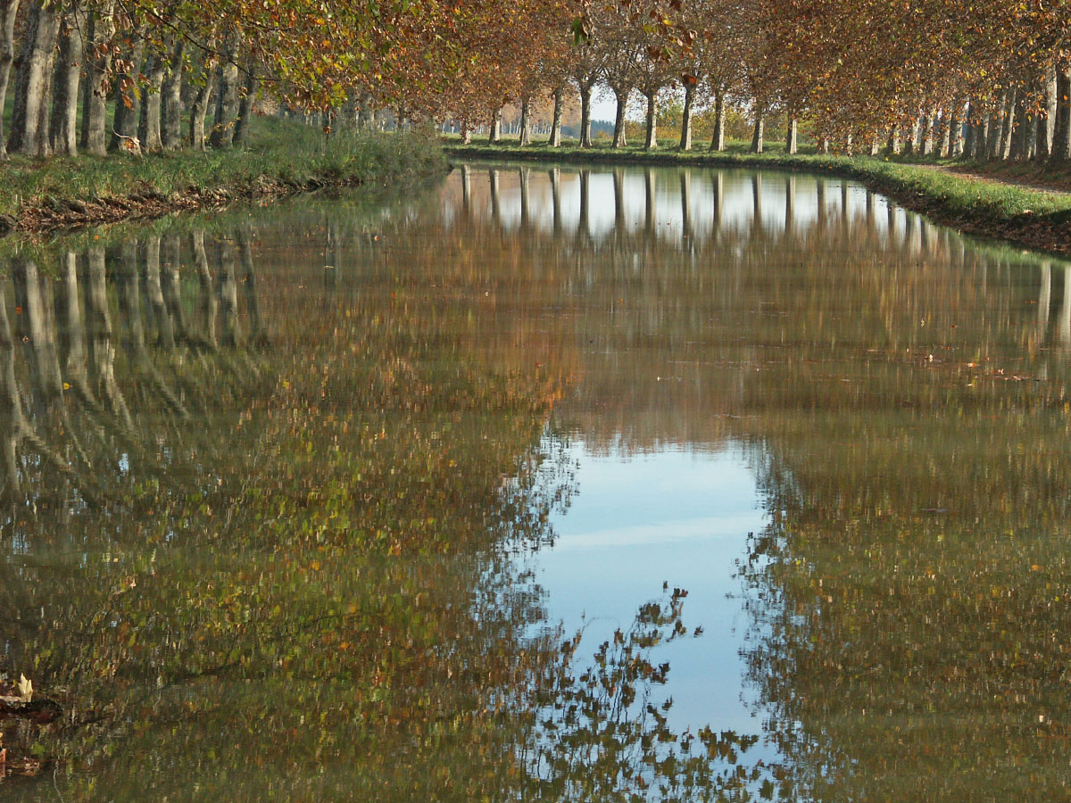 Fonds d'cran Nature Fleuves - Rivires - Torrents Canal du Midi