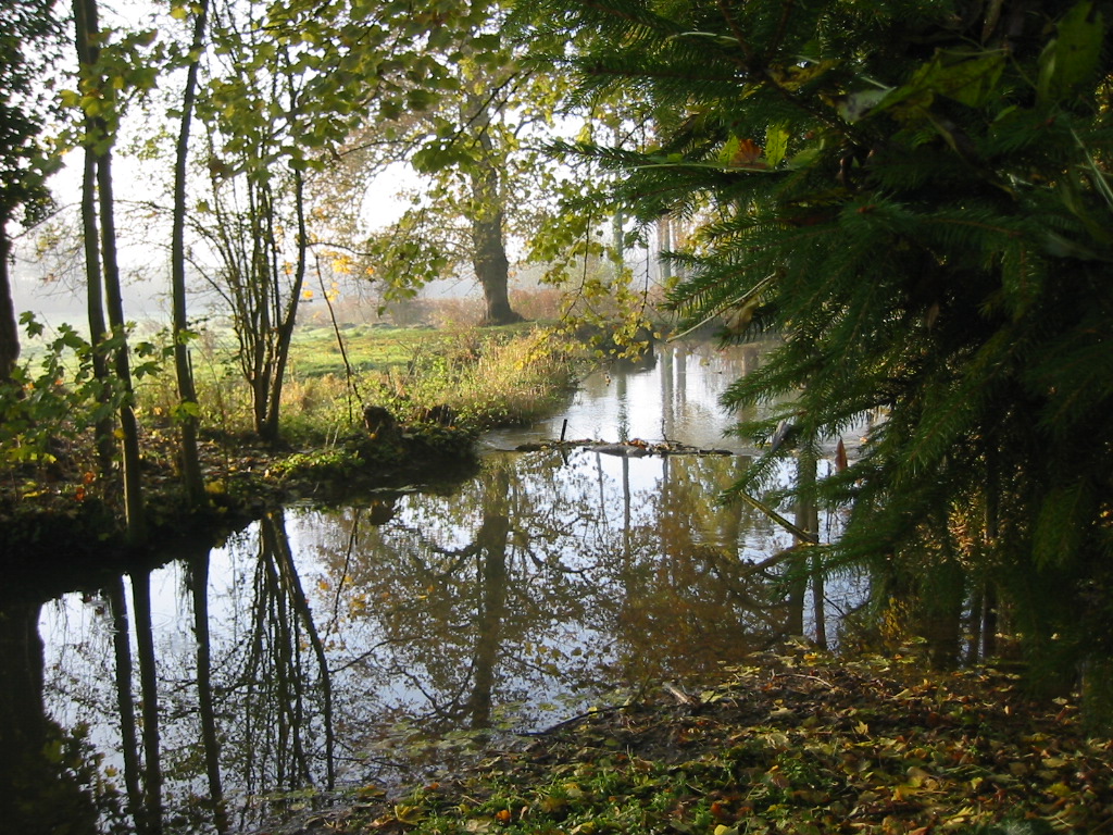 Wallpapers Trips : Europ France > Picardie Remaucourt (02) - Ruisseau