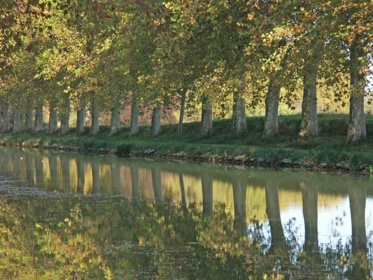 Wallpapers Nature Rivers - Torrents Canal du Midi