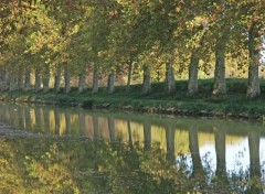 Wallpapers Nature Canal du Midi