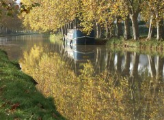 Fonds d'cran Nature Canal du Midi