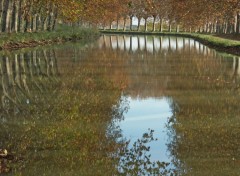 Fonds d'cran Nature Canal du Midi