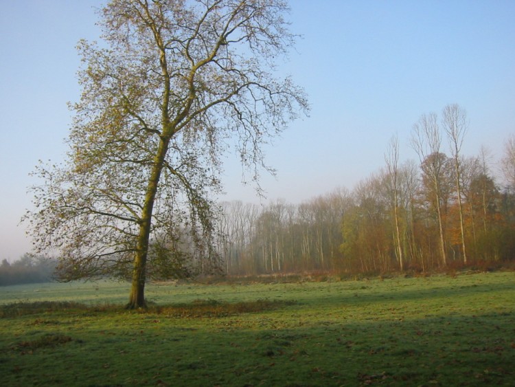 Fonds d'cran Voyages : Europe France > Picardie Remaucourt (02) - Couleurs de l'automne