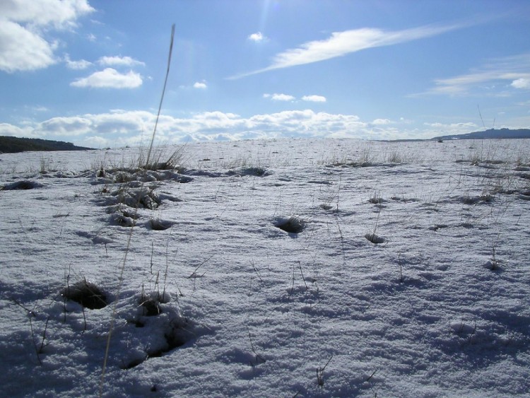 Wallpapers Nature Saisons - Winter neige