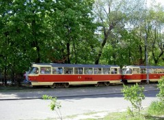 Fonds d'cran Transports divers Tramway dans une rue de Yalta