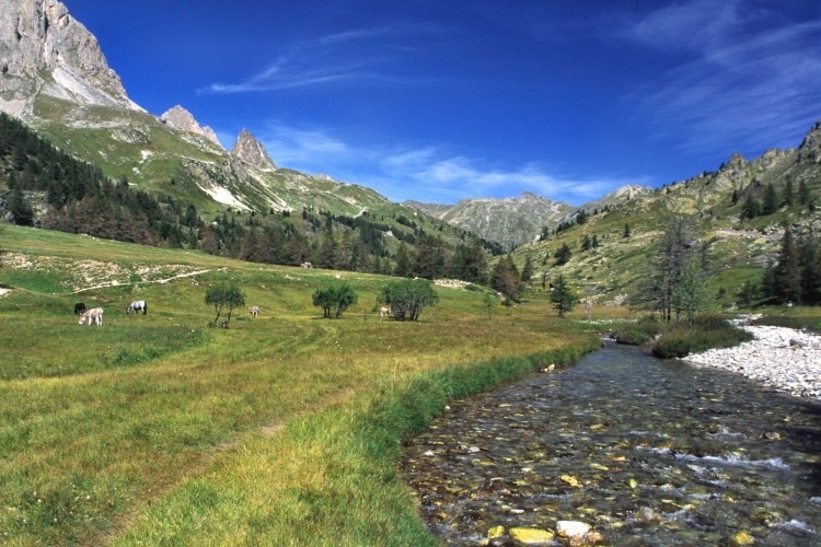 Wallpapers Nature Rivers - Torrents Le Brianonnais