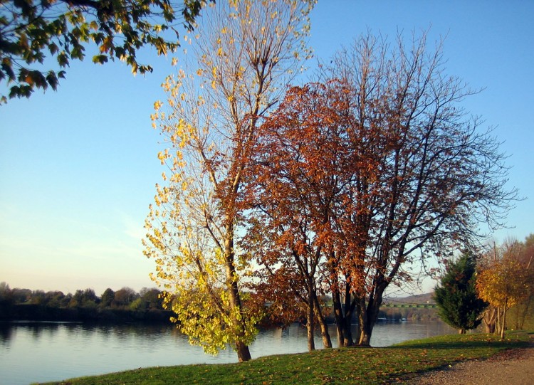 Fonds d'cran Nature Saisons - Automne Amour tendre et ttes de bois.